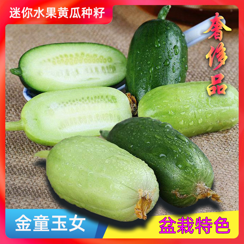 拇指黄瓜—开启蔬菜新口味盛宴