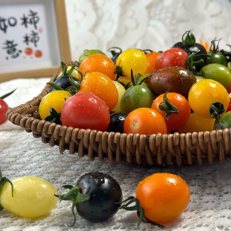七彩樱桃番茄